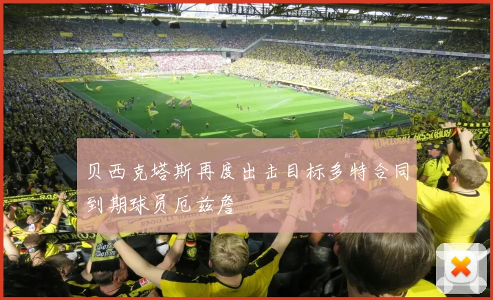 贝西克塔斯再度出击目标多特合同到期球员厄兹詹